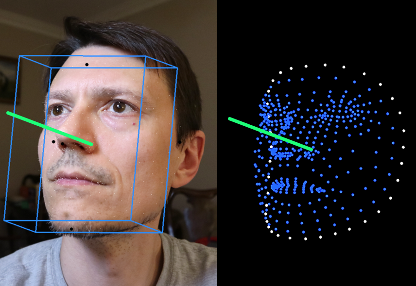 Head gaze web camera tutorial